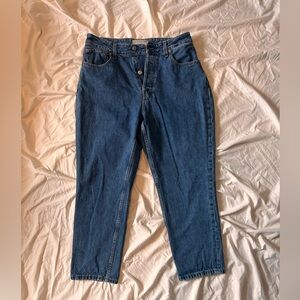 Everlane Curvy 90s Cheeky Straight Jean 100% organic cotton